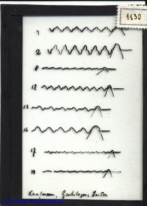 Slide: Hammered strings