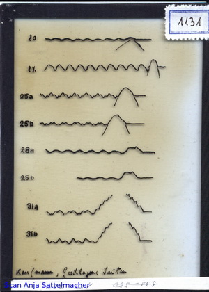 Slide: Hammered strings