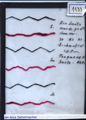 Slide: Bowed strings