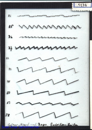 Slide: Bowed strings