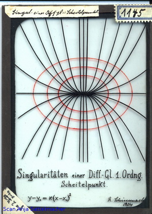 Slide: Singularities of a differential equation of 1. order