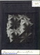 Slide: Neovius minimal surface