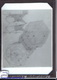 Diapositiv: Schraube