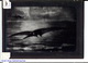 Slide: Obscure airplane