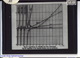 Slide: Logarithm of the factorial function and its derivatives