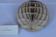 Normal curvature circle in an elliptic surface point