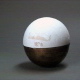 Rotational surfaces of constant positive curvature, bulge type