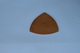 Curve of constant width