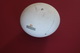 Oblate rotation ellipsoid with a geodetic line