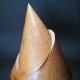 17 wooden cones with all types of conic sections