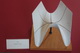 Peano surface